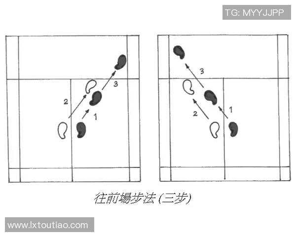 南京羽毛球队防反战术解析与深度剖析探索羽毛球竞技的奥秘与技巧